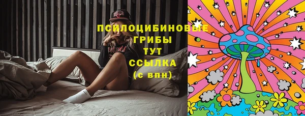 кокс Белокуриха