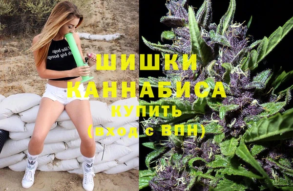 кокс Белокуриха